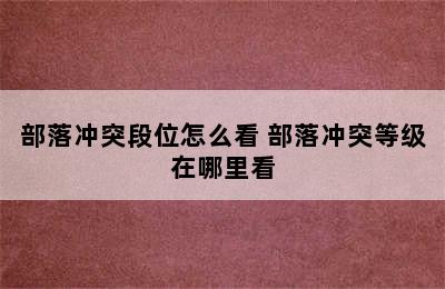 部落冲突段位怎么看 部落冲突等级在哪里看